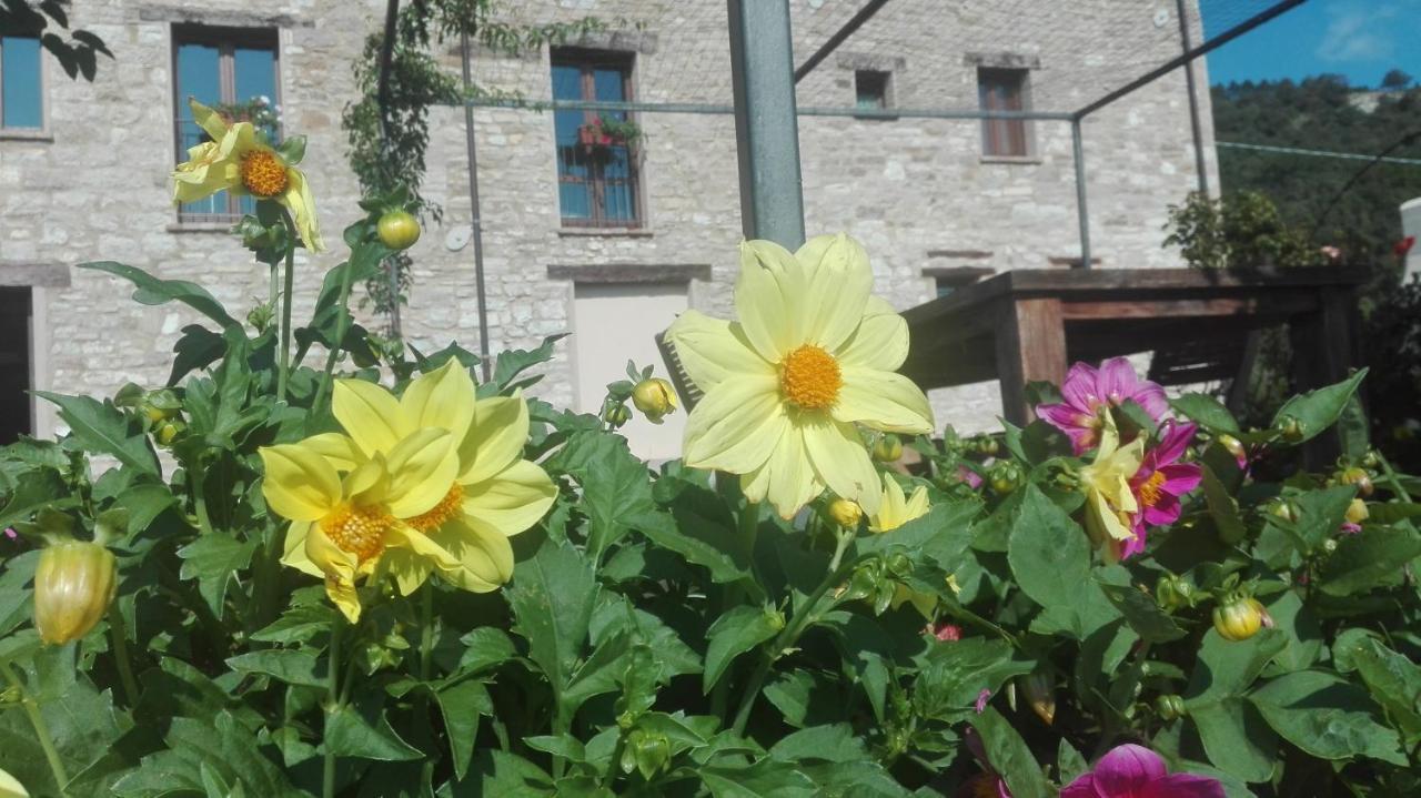 Casale Le Fontanelle Hotel Monte Grimano Terme ภายนอก รูปภาพ