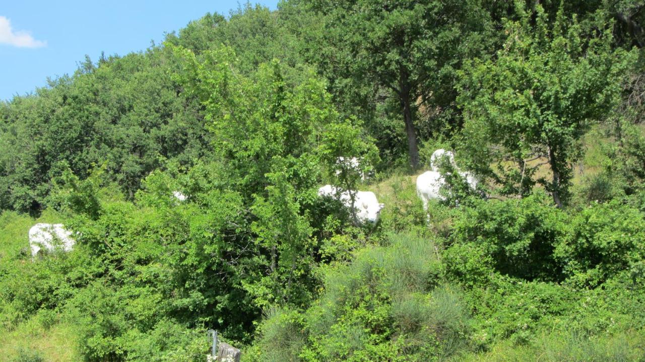 Casale Le Fontanelle Hotel Monte Grimano Terme ภายนอก รูปภาพ