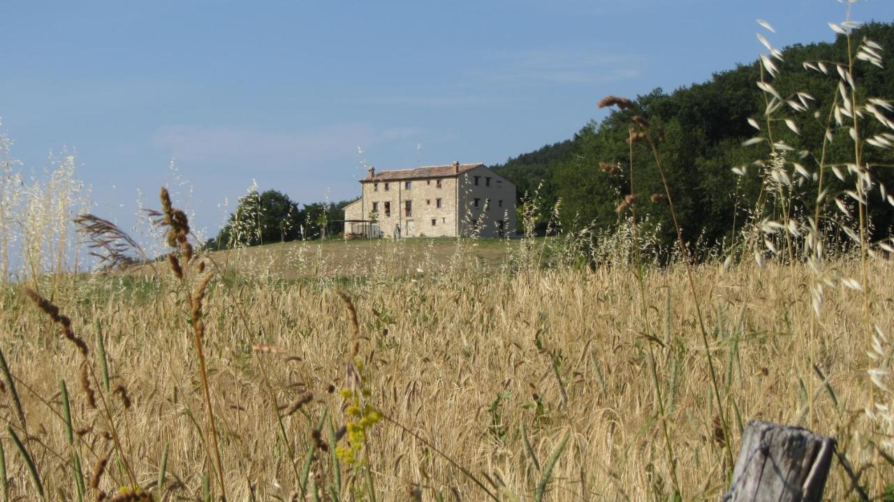 Casale Le Fontanelle Hotel Monte Grimano Terme ภายนอก รูปภาพ